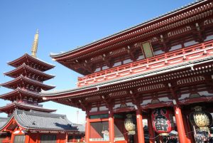 Elsiwave Workshop 2019 at Tokyo